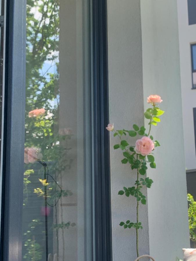 Garden Self Check-in - Bezkluczowy Dostep W 10 Minut O Kazdej Porze Appartement *